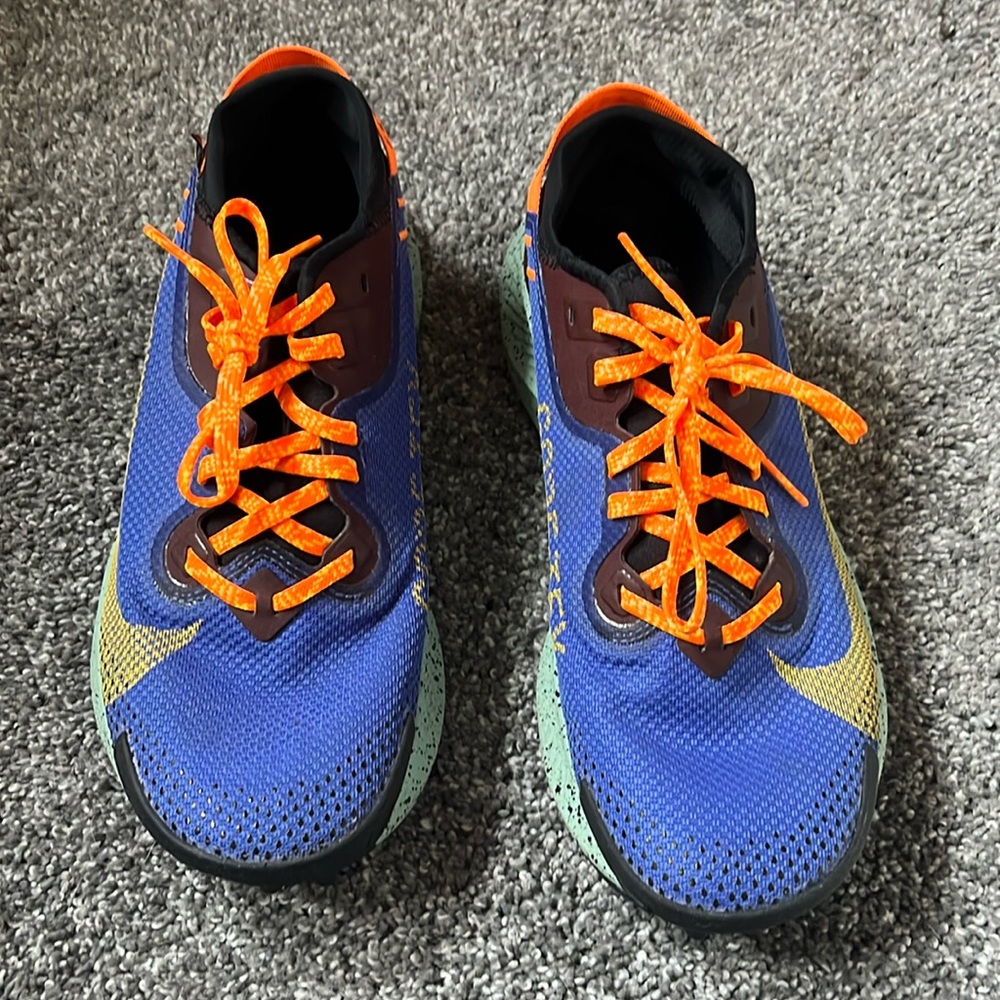 Nike Trail Pegasus GTX